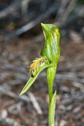 Image: J.R. Rolfe © Jeremy Rolfe 2015 All rights reserved